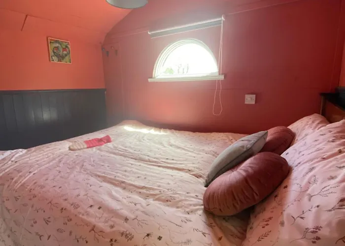 キャンプ場 The Hares Hut At Carrigeen Glamping