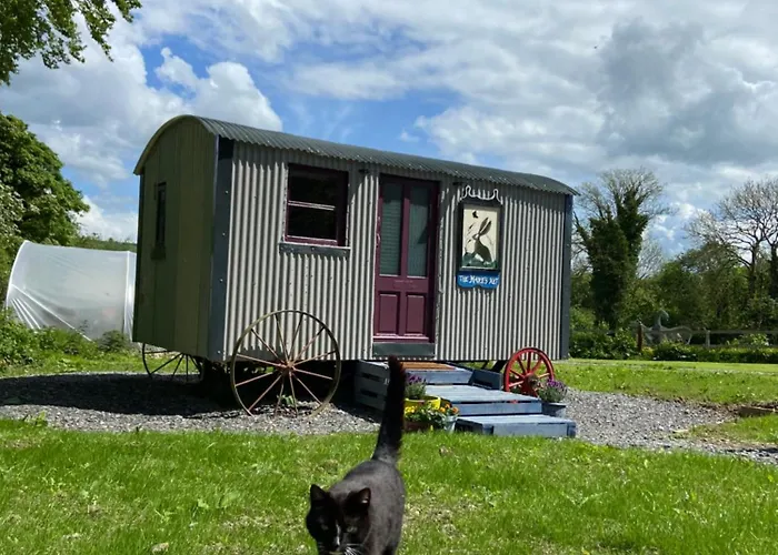 The Hares Hut At Carrigeen Glamping Kemping *