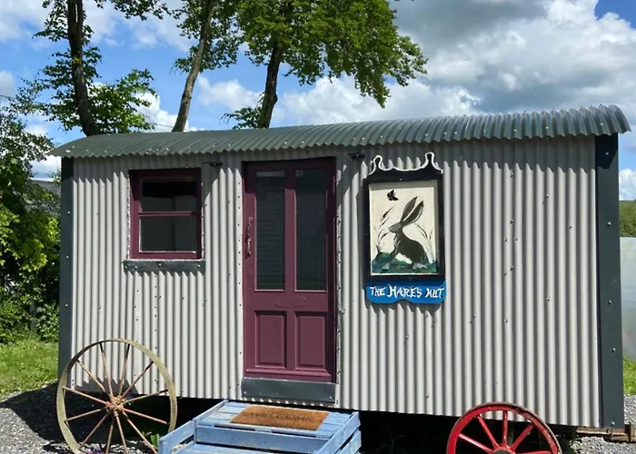 The Hares Hut At Carrigeen Glamping Kemping Kilkenny